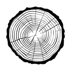 Log cut, vector illustration. Tree rings pattern, shades of gray.	