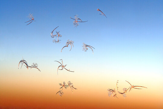 Closeup shot of ice crystals on an airplane window