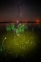 Starry sky reflected in the water, La Pampa Province, Patagonia, Argentina.