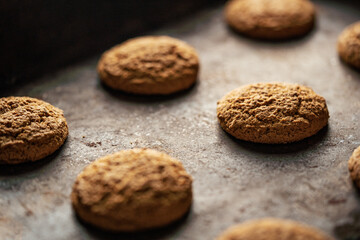 Fototapeta na wymiar Oatmeal cookies on baking sheet. Fresh sweet pastries for tea. Homemade oatmeal sweets.