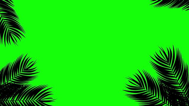 Palm leaves frame moving in the wind on green screen background. Tropical leaf animation.