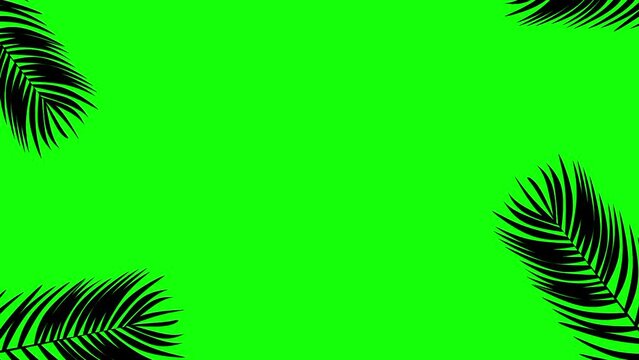 Animation of palm leaves moving in the wind against a green screen background. Tropical leaf frames are great for promotional and poster backgrounds.