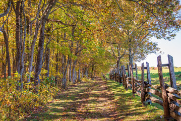 Fall colors at the Hensleey Settlement at Cumberland Gap National Historic Park.