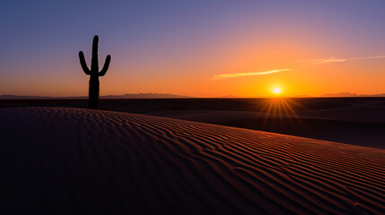 Fototapeta na wymiar Desert sunset landscape with sand dunes and a lone cactus silhouette.