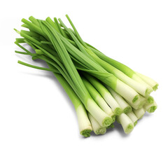 Green onions bunch. Cut out on transparent