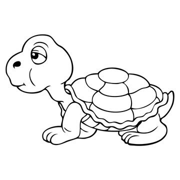 turtle line vector illustration