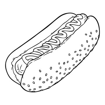 hotdog line vector illustration
