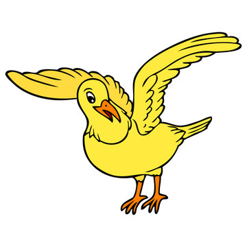 little bird vector illustration