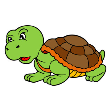 little turtle vector illustration