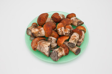 Edible mushrooms on a green plate. White background.