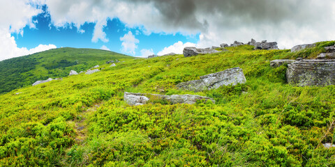 carpathian mountains scenery in summer. nature landscape with boulders on the grassy hillsides....