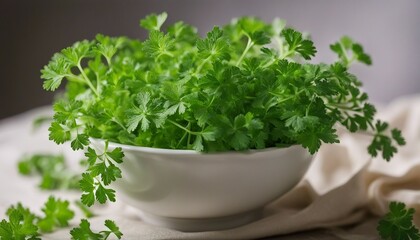 Chervil, similar to parsley but with a more delicate flavor, often used in French cuisine