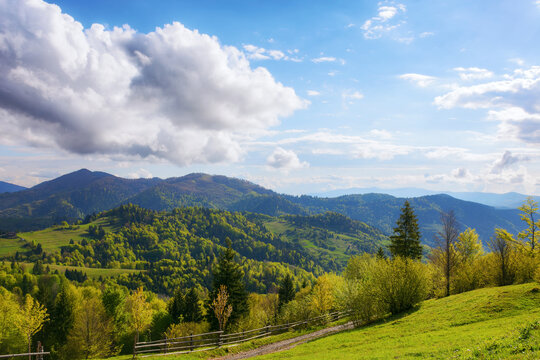 stunning rural landscape of carpathian mountains in evening light. ukrainian alpine countryside scenery with fence on the grassy meadow and forested hills in spring. fluffy clouds on the sky