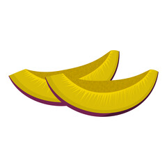 Plum and parts, slices, pits, leaves, core. Set of fruits. Flat design graphic elements. Vector illustration isolated on white background