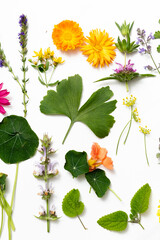 Herb leaf and flower selection for medicinal and culinary use