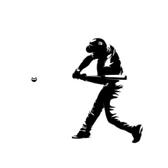 Baseball player, batter, isolated vector silhouette. Team sport athlete