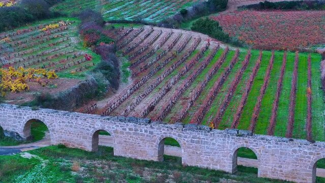 San Andr&eacute;s de Muga aqueduct between vineyards in autumn in Labastida in the province of Alava. Aerial view from a drone. Basque Country, Spain, Europe