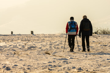 L'amitié en marche dans la neige