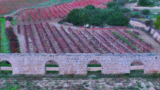 San Andr&eacute;s de Muga aqueduct between vineyards in autumn in Labastida in the province of Alava. Aerial view from a drone. Basque Country, Spain, Europe