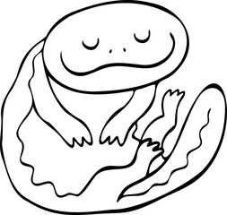 cute cartoon salamander drawing.