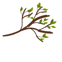 Twig tree branch with leaves