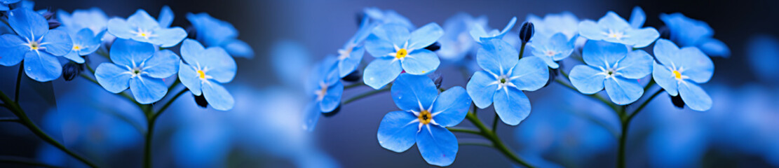 Two photos of blue forgetmenot flowers with blurry backgrounds, in the style of abstract organic shapes, subtle atmospheric perspective, topcor 58mm f/1.4, bio-art, wimmelbilder, shaped canvas, rangef