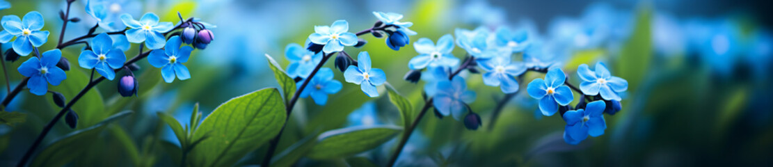 Two photos of blue forgetmenot flowers with blurry backgrounds, in the style of abstract organic...