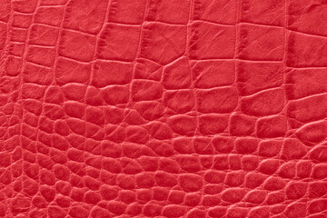 Genuine leather texture background, crocodile skin print
