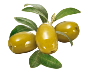 azeitonas verdes acompanhada de folhas verdes de oliveira isolado em fundo transparente