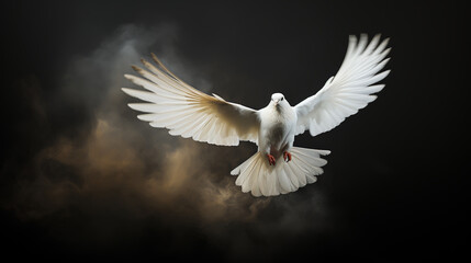 Obraz premium white dove or white pigeon on pastel background international day of peace