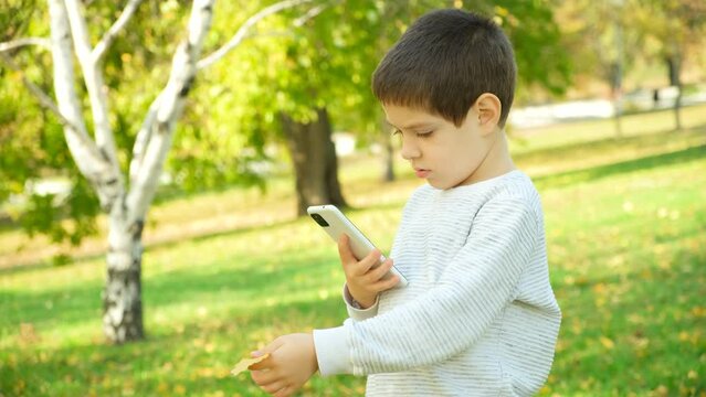 Little boy taking a smartphone photo of an autumn birch leaf in a city park.