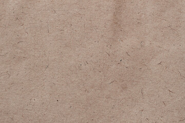 Paper texture cardboard background surface , inclusions of cellulose