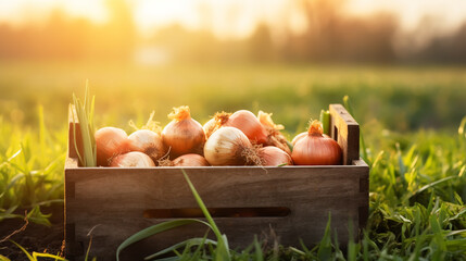 Fresh harvested onions in a plastic crate on the grass - obrazy, fototapety, plakaty