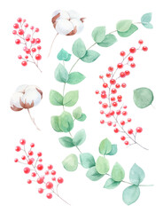 Watercolor illustration set of botanical elements for making wreath with eucalyptus leaves, red berries, and cotton flowers.