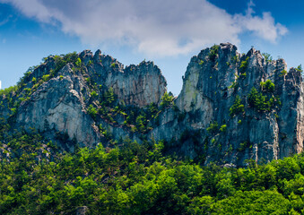 Seneca Rocks in Summer, West Virginia