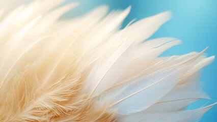 Feathered Serenity: Macro of White Bird Wing