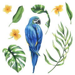 Tropical palm leaves, monstera and flowers of plumeria, hibiscus, bright juicy with blue-yellow macaw parrot. Hand drawn watercolor botanical illustration. Set of elements isolated from the background
