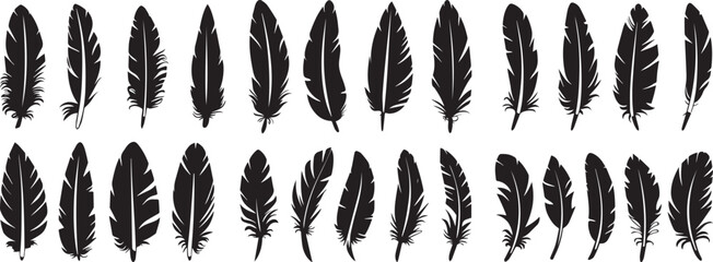 feather silhouette vector