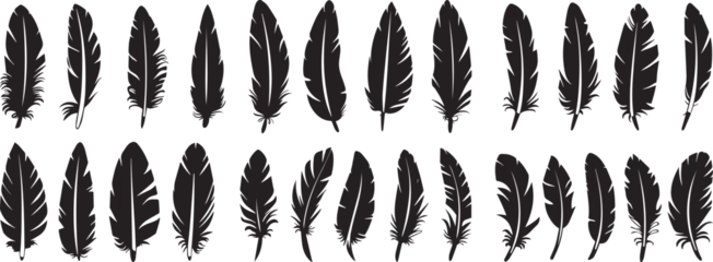 Muurstickers feather silhouette vector © DELWAR