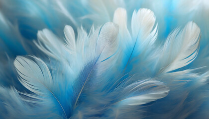 floral background_ beautiful blue feather abstract texture with soft lighting