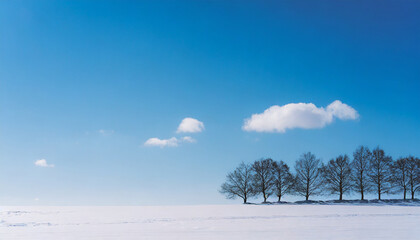 Minimalist Cloud Background; winter landscape with trees; clear sky image
