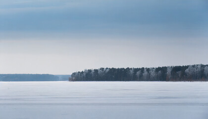 Obraz premium Minimalist scenery with frozen lake and forest on the horizon