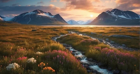 Foto op Canvas A scene of the Arctic tundra under the perpetual glow of the midnight sun, with snow-capped mountains and hardy vegetation - Generative AI © Huzaifa