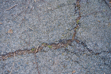 Full frame grunge background of cracked old asphalt pavement 