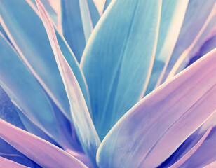 agave leaves in trendy pastel colors for design backgrounds
