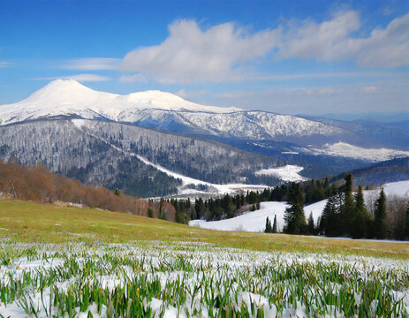 beautiful meadow with a view of the winter mountain shoria