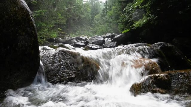 Kezmarska Biela voda, the creek from the Tatra mountain in the valley
