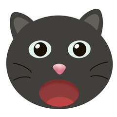 cat feel shock.