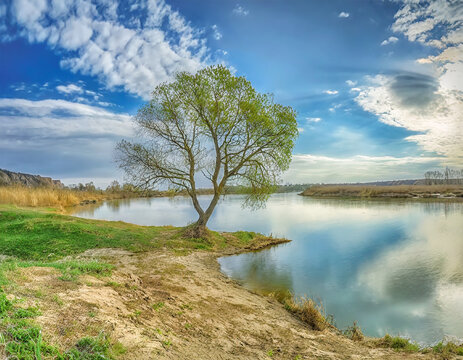 HDR landscape with a lonely tree on the river shore