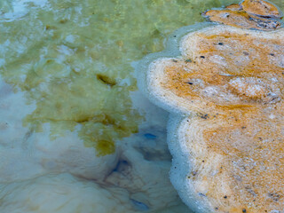 Limestone and algae plaques in hot springs